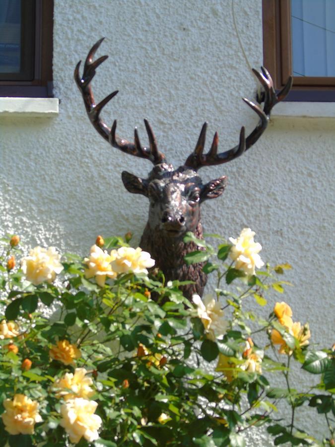 Craik Na Dav B&B Invermoriston Exterior photo